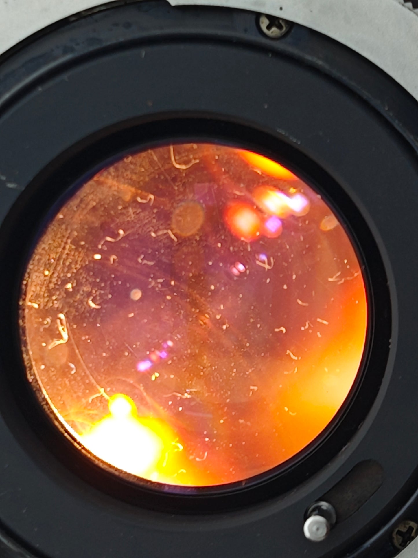 Canon Lens FL 50mm F1.4 #175230