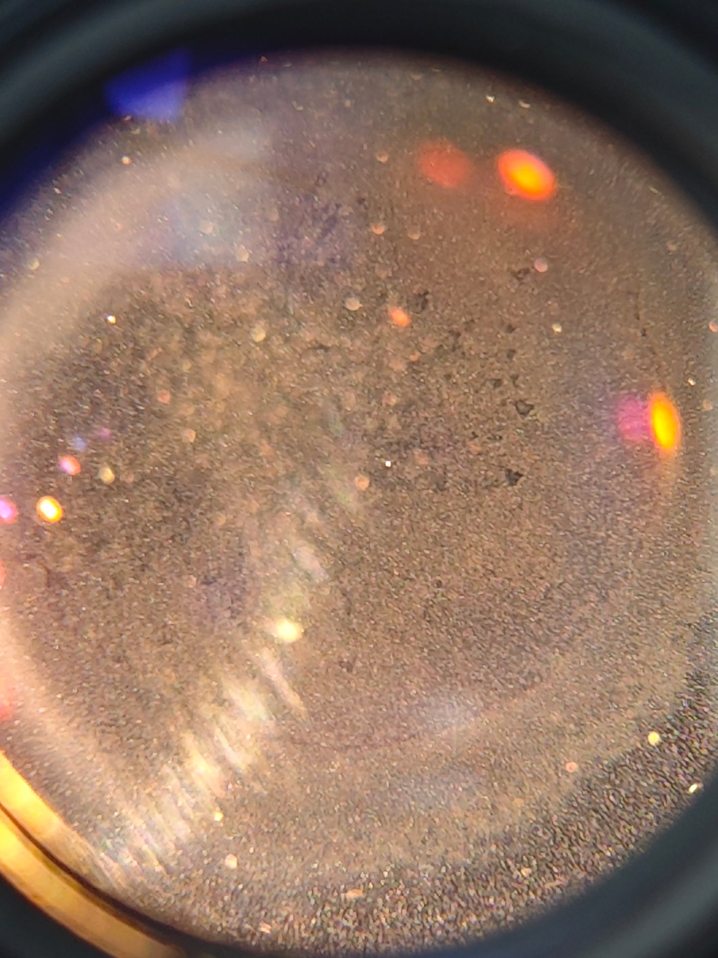 Canon AE-1 program with FD 50mm F1.8