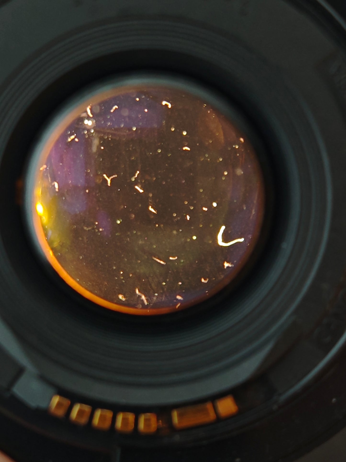 Canon EF 50mm F1.8 II #1315010696