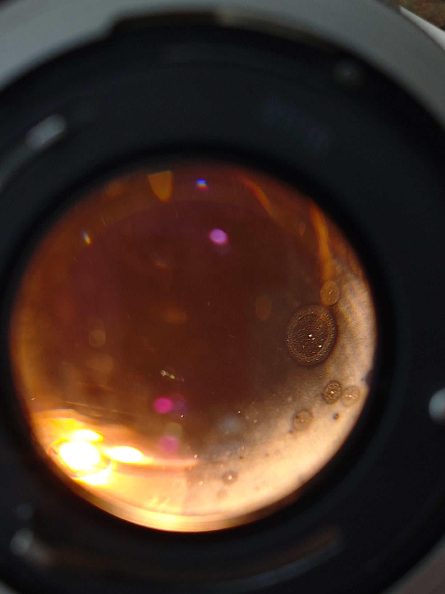 Canon A-1 with FD 50mm F1.4 S.S.C.