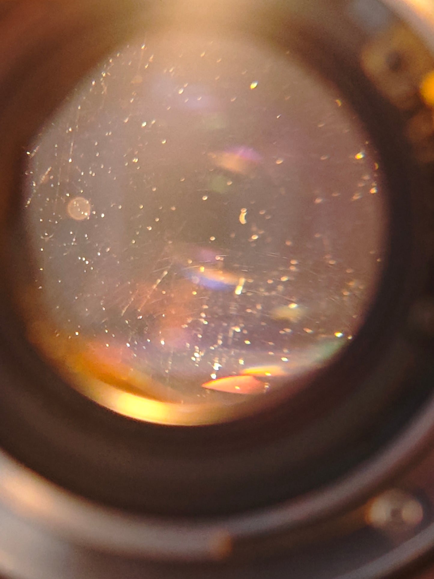 Minolta AF 50mm F1.4 #14202782