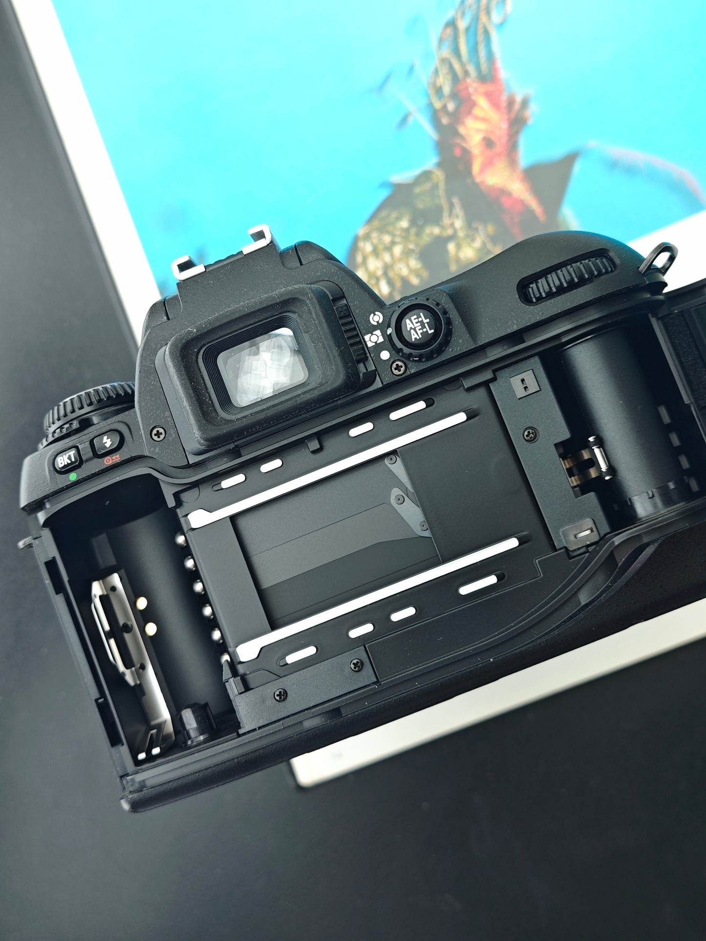 Nikon F80 with AF Nikkor 24-85mm F2.8-4 D