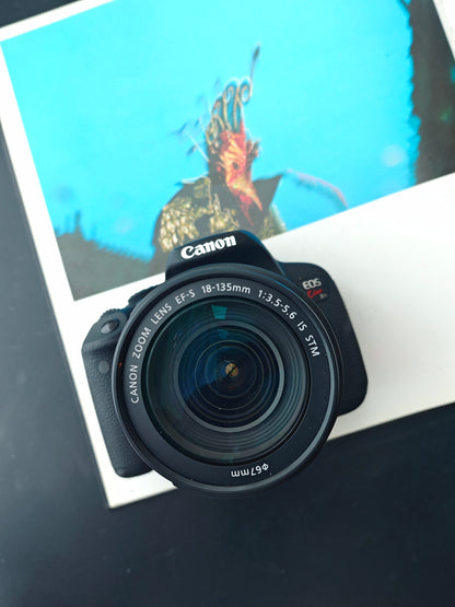 *READ* Used Canon EOS Kiss X7i with EF-S 18-135mm F3.5-5.6 IS STM