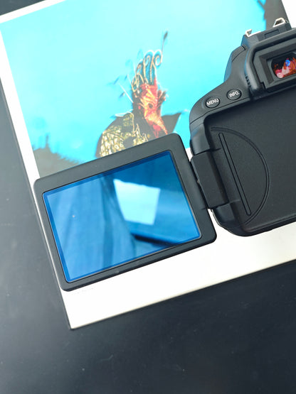 *READ* Used Canon EOS Kiss X7i with EF-S 18-135mm F3.5-5.6 IS STM