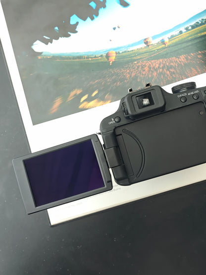 Used Panasonic Lumix DMC-FZ100 Digital Camera [JPN only]