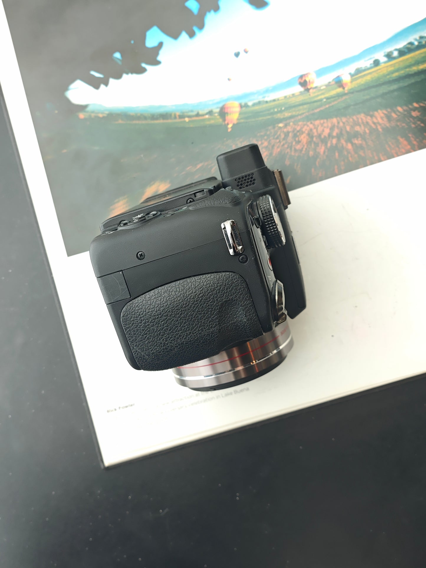 Used Panasonic Lumix DMC-FZ100 Digital Camera [JPN only]