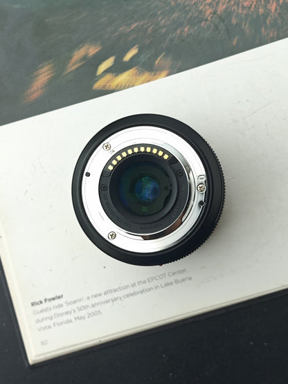 Panasonic Lumix G Vario 12-60mm F3.5-5.6 Mega O.I.S. [M4/3 mount]