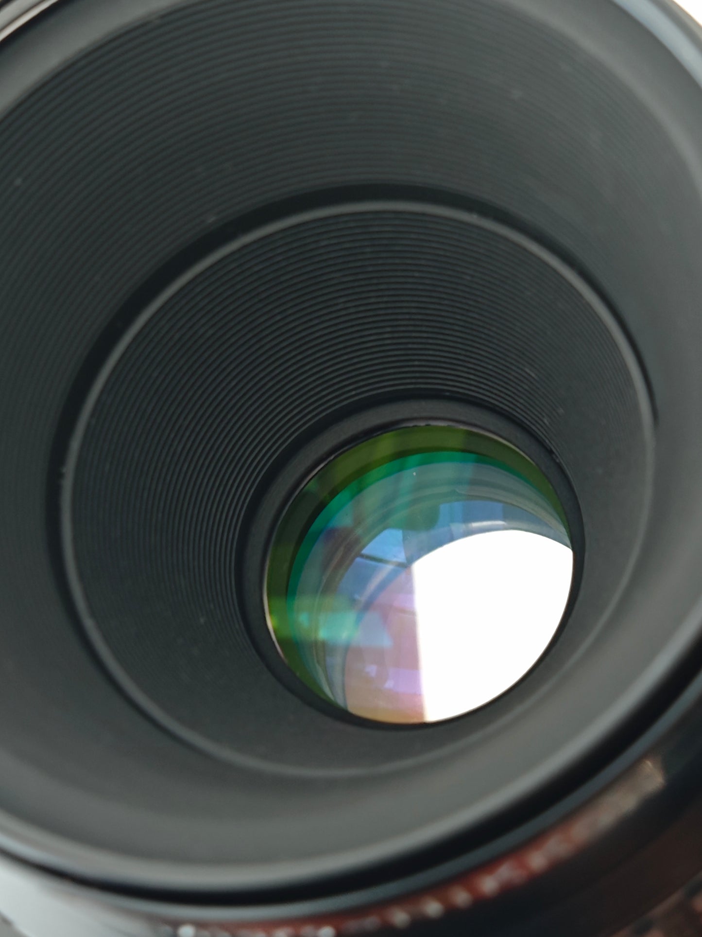 Nikon Micro-Nikkor 55mm F2.8 #286898