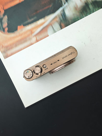 Used Sony Cyber Shot DSC-WX300 light brown Digital Camera [JPN only, No charger]