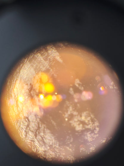 Olympus OM-1 with OM-System G.Zuiko Auto-W 28mm F3.5