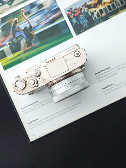 Used Panasonic Lumix DC-GF10 with G Vario 12-32mm F3.5-5.6 and G 25mm F1.7 [JPN only, with box]