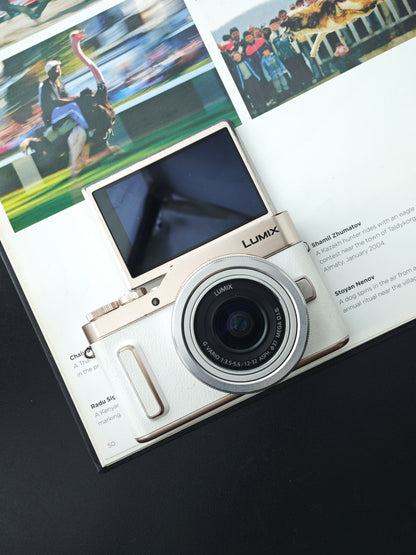 Used Panasonic Lumix DC-GF10 with G Vario 12-32mm F3.5-5.6 and G 25mm F1.7 [JPN only, with box]