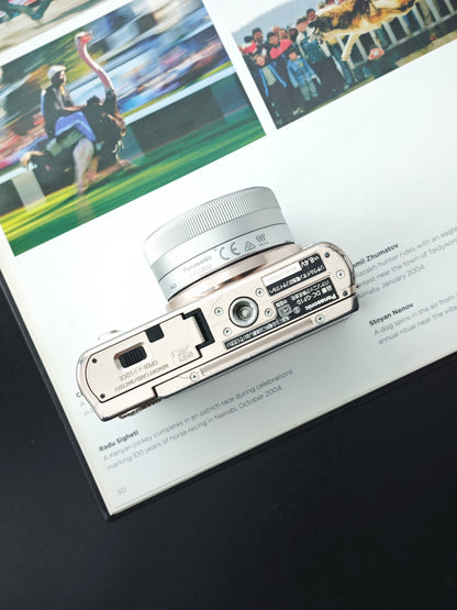 Used Panasonic Lumix DC-GF10 with G Vario 12-32mm F3.5-5.6 and G 25mm F1.7 [JPN only, with box]