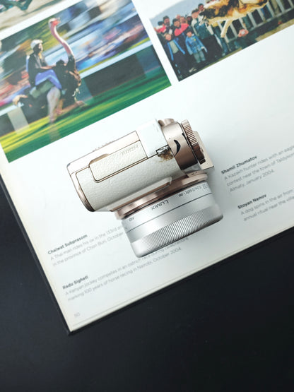 Used Panasonic Lumix DC-GF10 with G Vario 12-32mm F3.5-5.6 and G 25mm F1.7 [JPN only, with box]