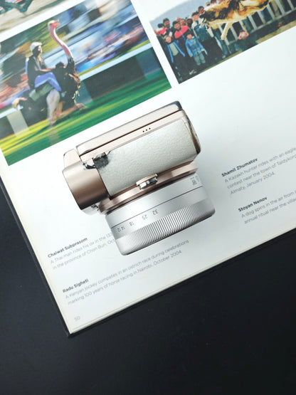 Used Panasonic Lumix DC-GF10 with G Vario 12-32mm F3.5-5.6 and G 25mm F1.7 [JPN only, with box]