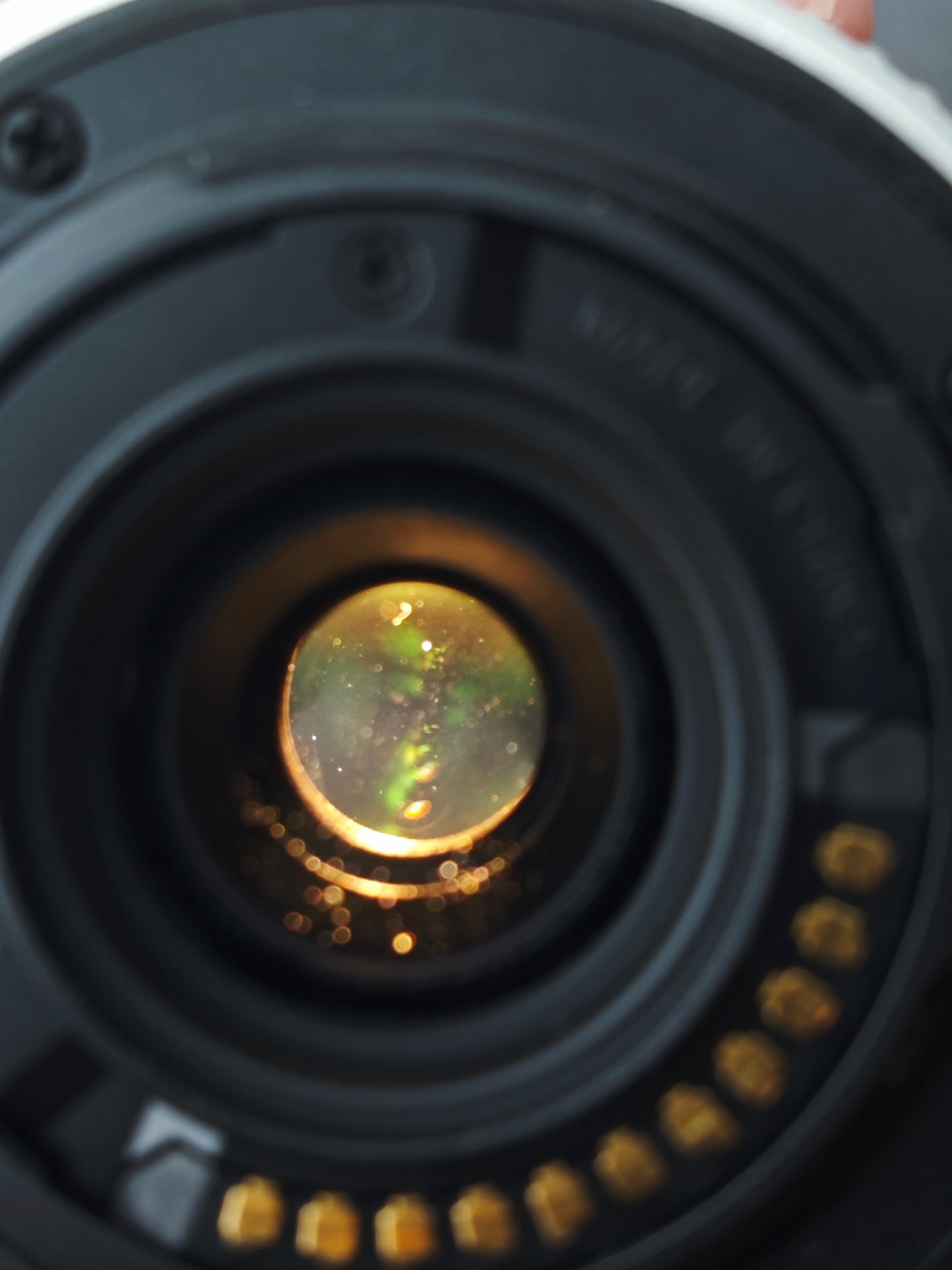 Used Olympus PEN E-PL1s with Double Zoom Kit Digital Camera