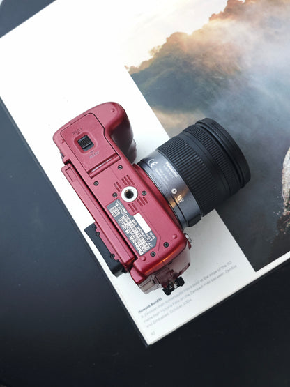 Used Panasonic Lumix G1 red with 14-45mm F3.5-5.6 and 45-200mmm F4-5.6 [JPN only, No charger]