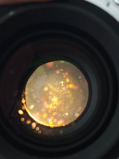 Nikon ED AF-S Nikkor 28-300mm F3.5-5.6 G VR