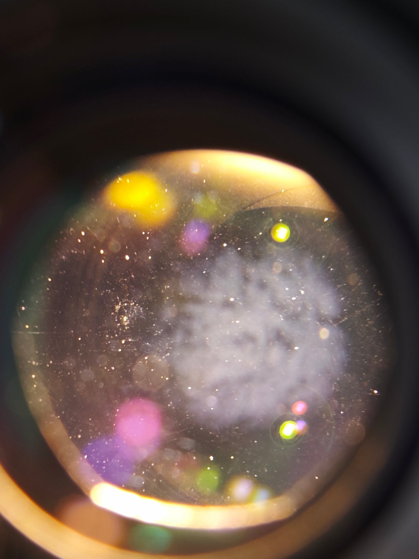 Carl Zeiss Planar 45mm F2 T* #7675180