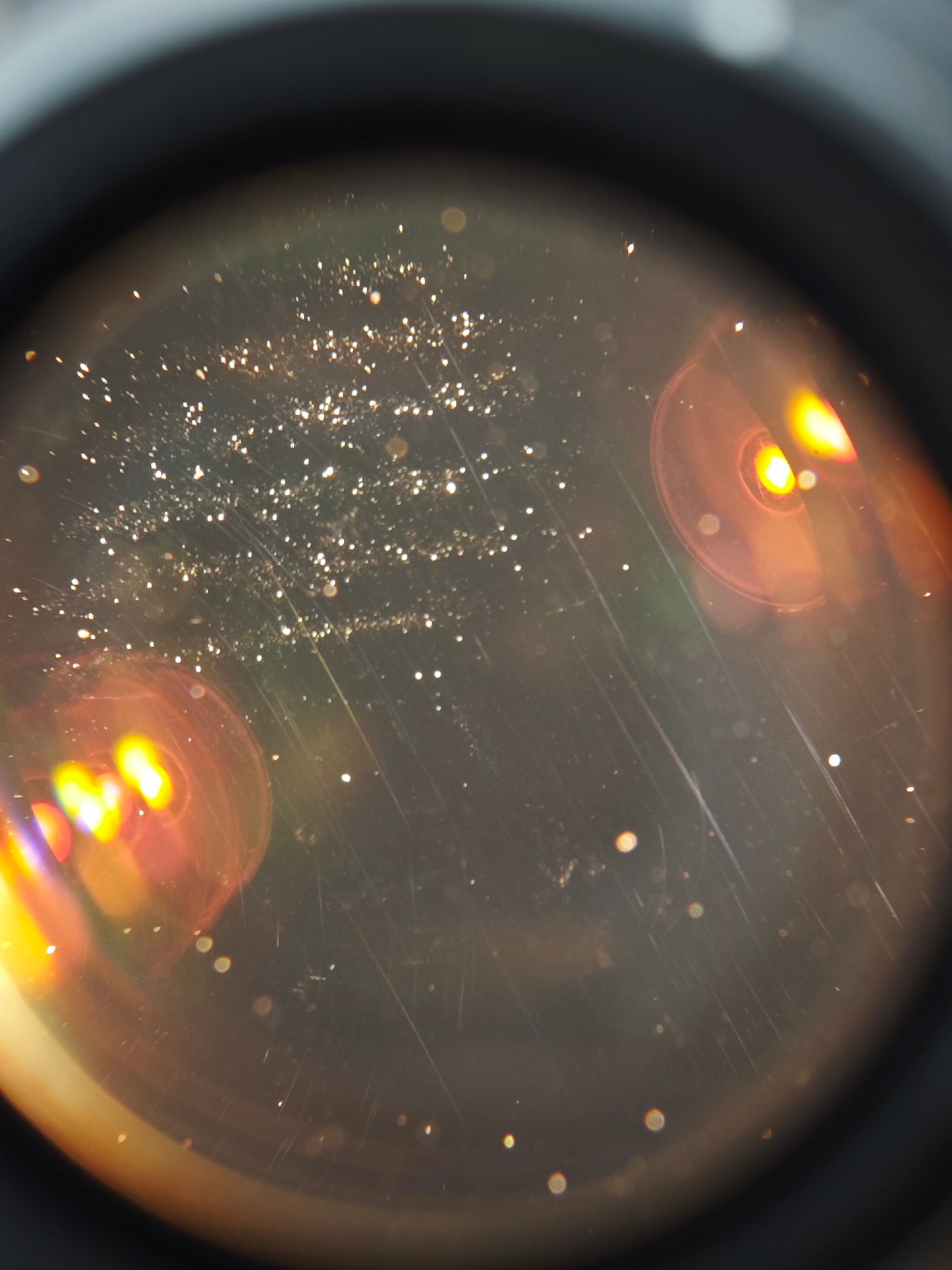 Nikon F2 black with Nikkor 50mm F1.4 non-Ai