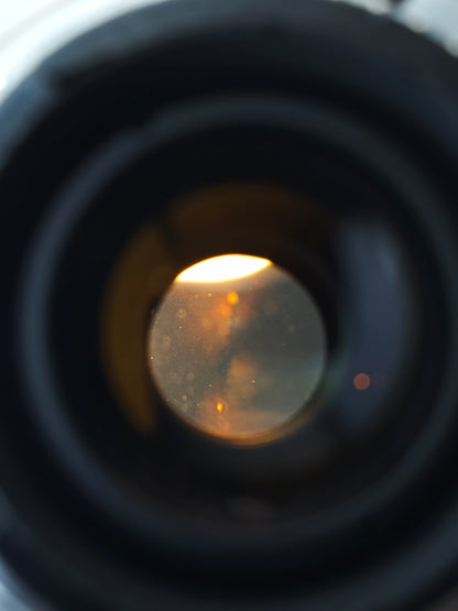 Nikon AF VR-Nikkor 80-400mm F4.5-5.6 D ED #261039