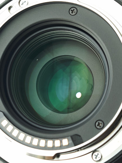 Sigma 24-70mm F2.8 DG DN [L Mount]