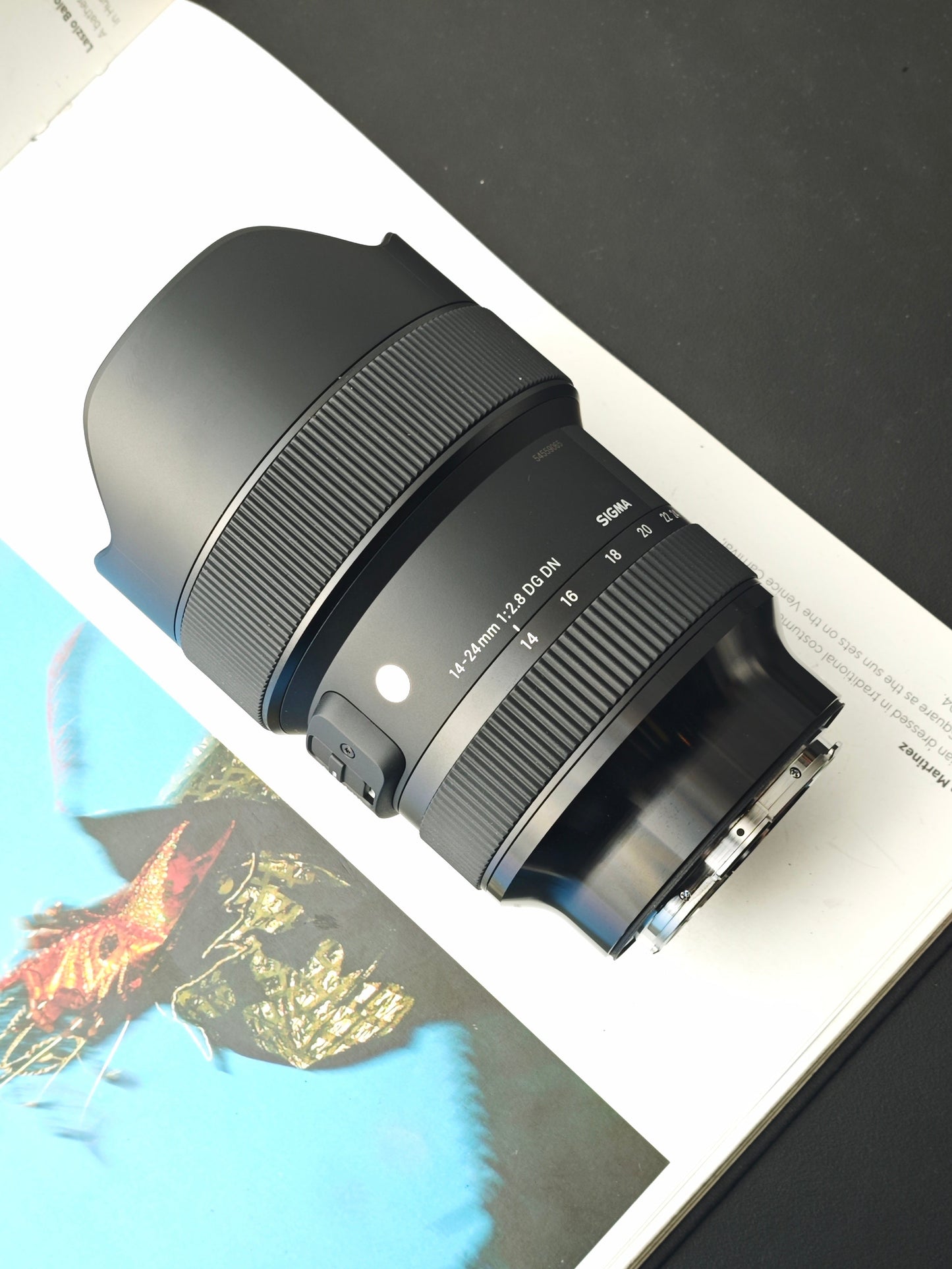 Sigma 14-24mm F2.8 DG DN [L Mount]