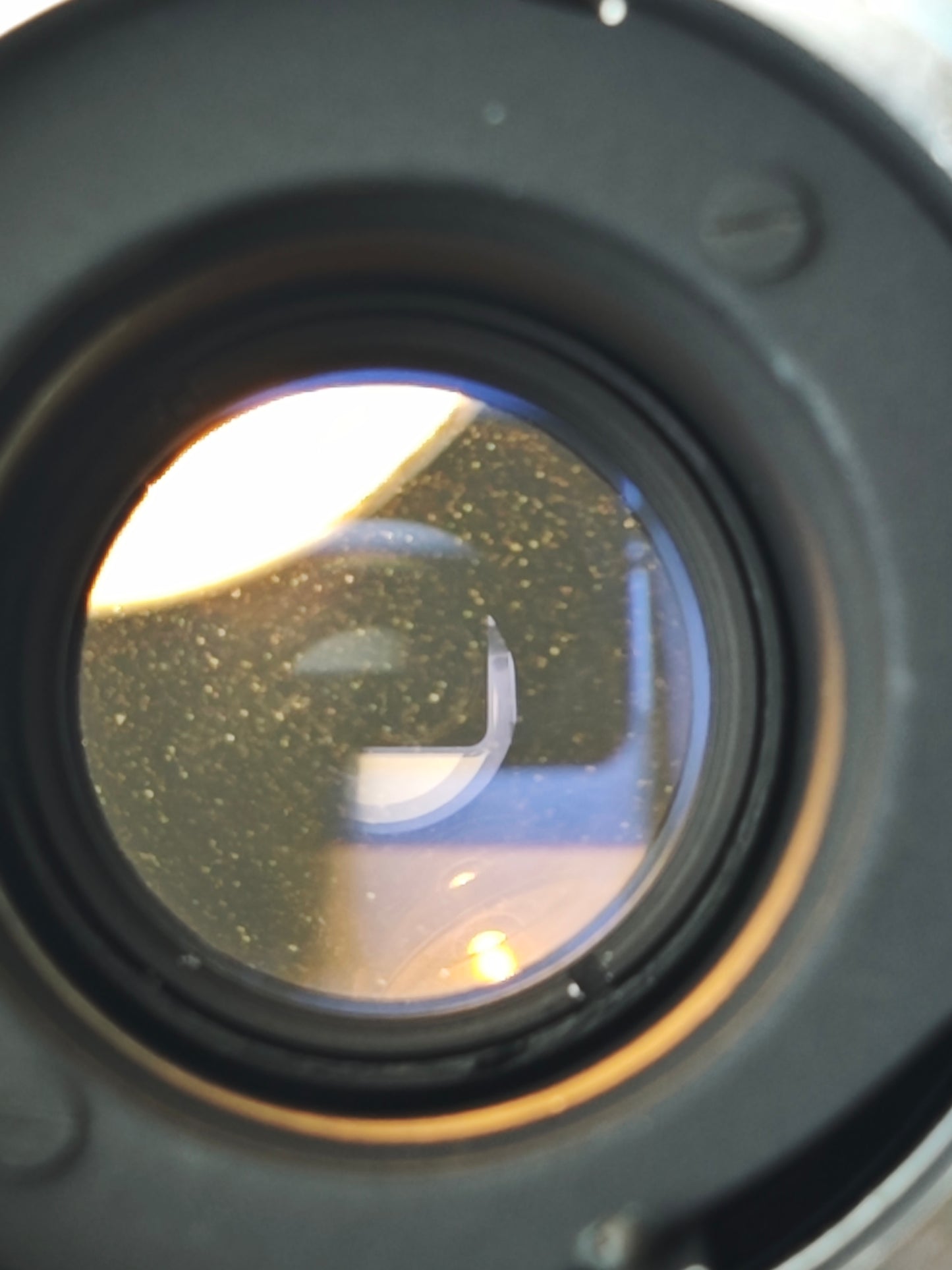 Olympus E.Zuiko Auto-T 100mm F3.5 [PEN F mount]