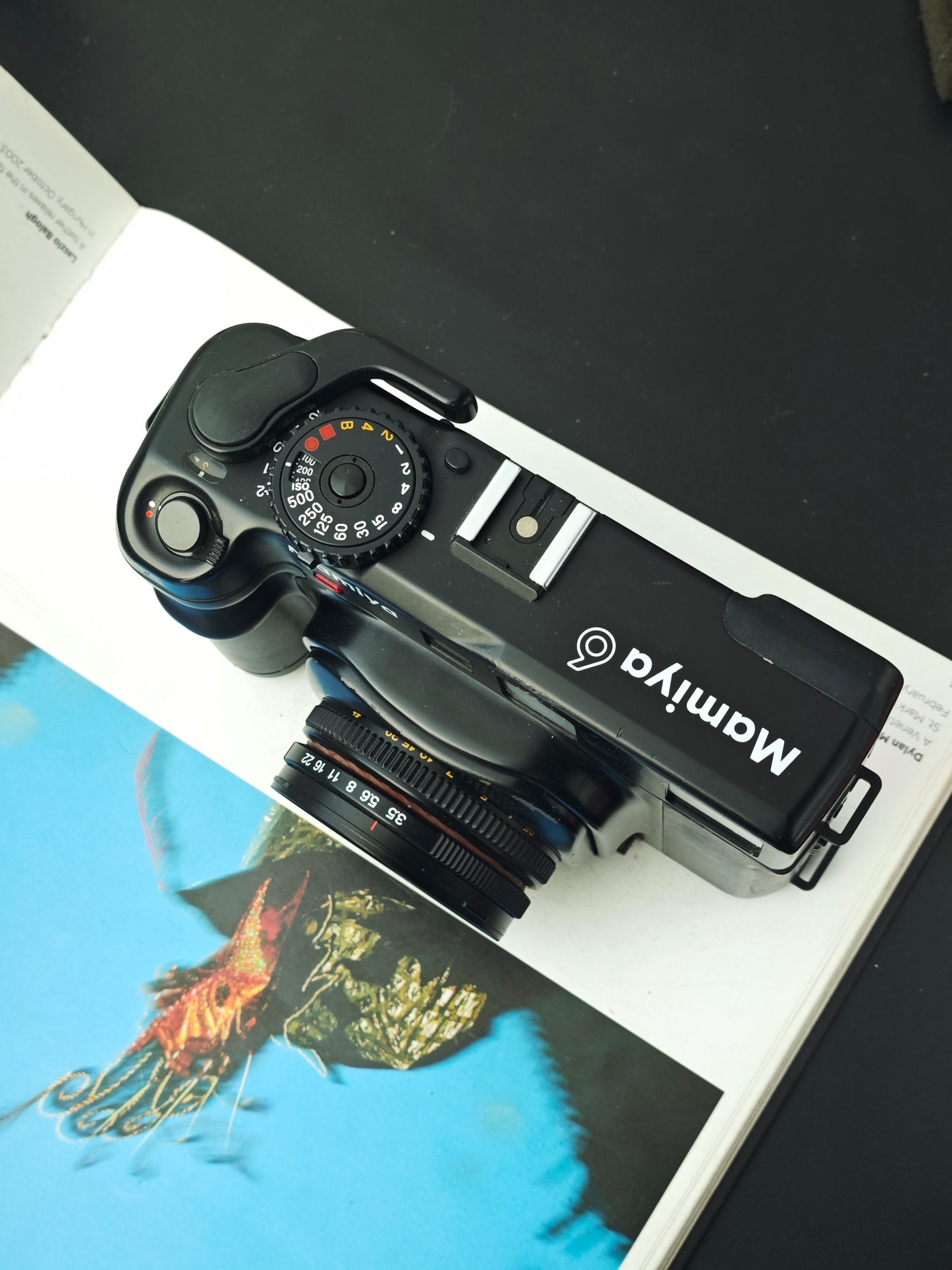 *READ* Mamiya 6 with G 75mm F3.5 L