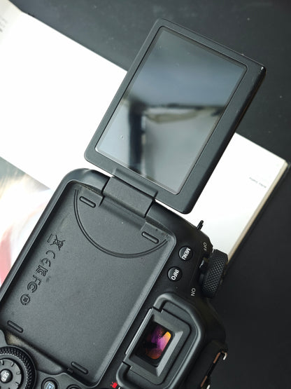 Used Canon EOS 6D Mark II with EF 24-120mm F3.5-5.6 IS STM [with box]