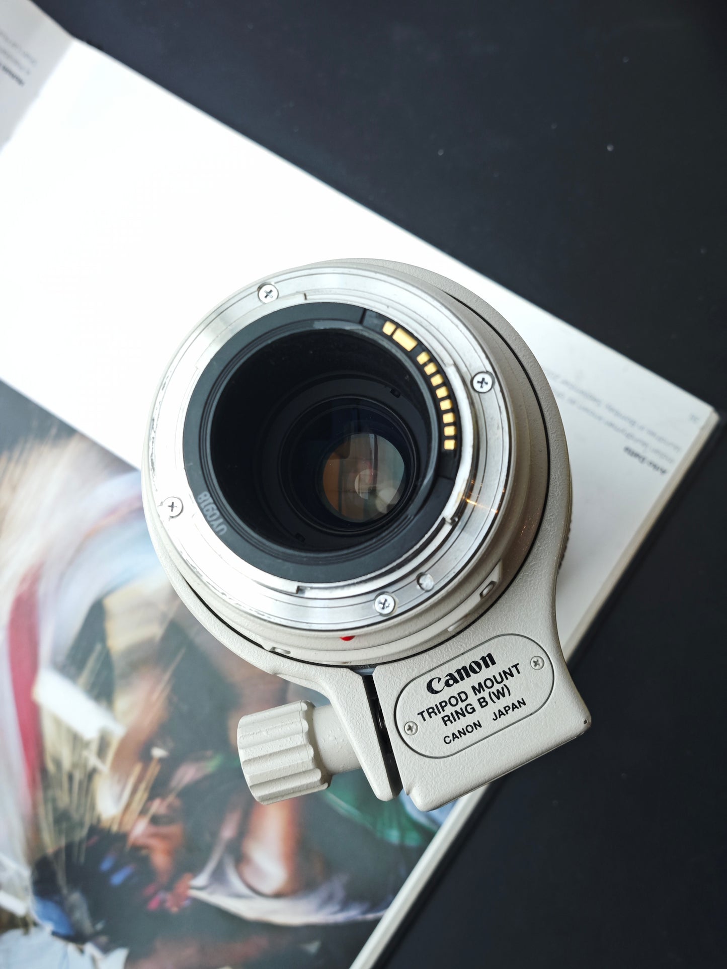 Canon Zoom Lens EF 100-400mm F4.5-5.6 L IS