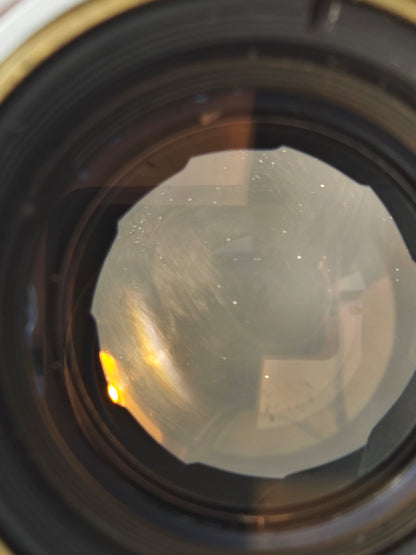 Canon L2 with Canon Lens 50mm F1.8