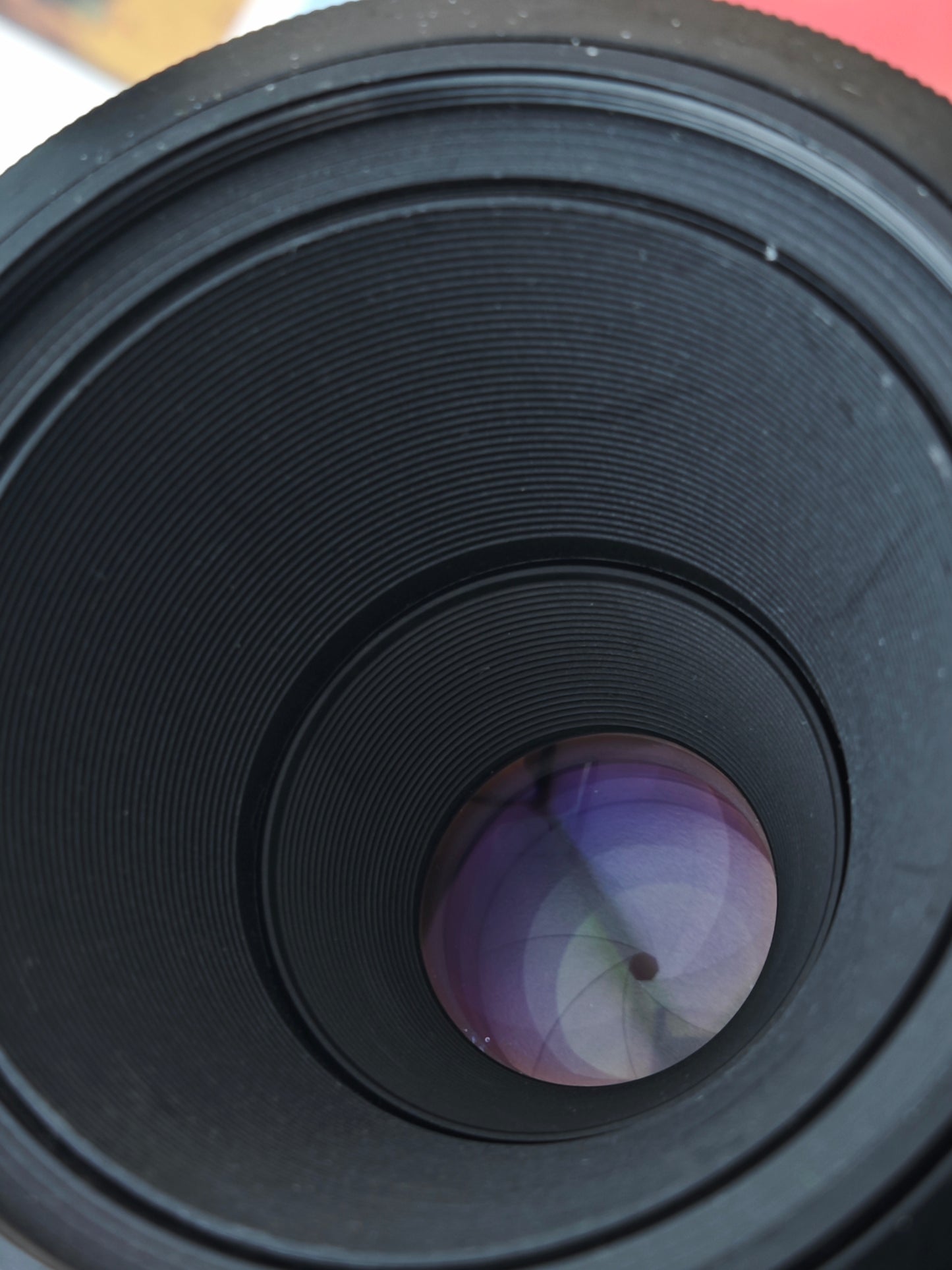 Minolta AF Macro 50mm F2.8