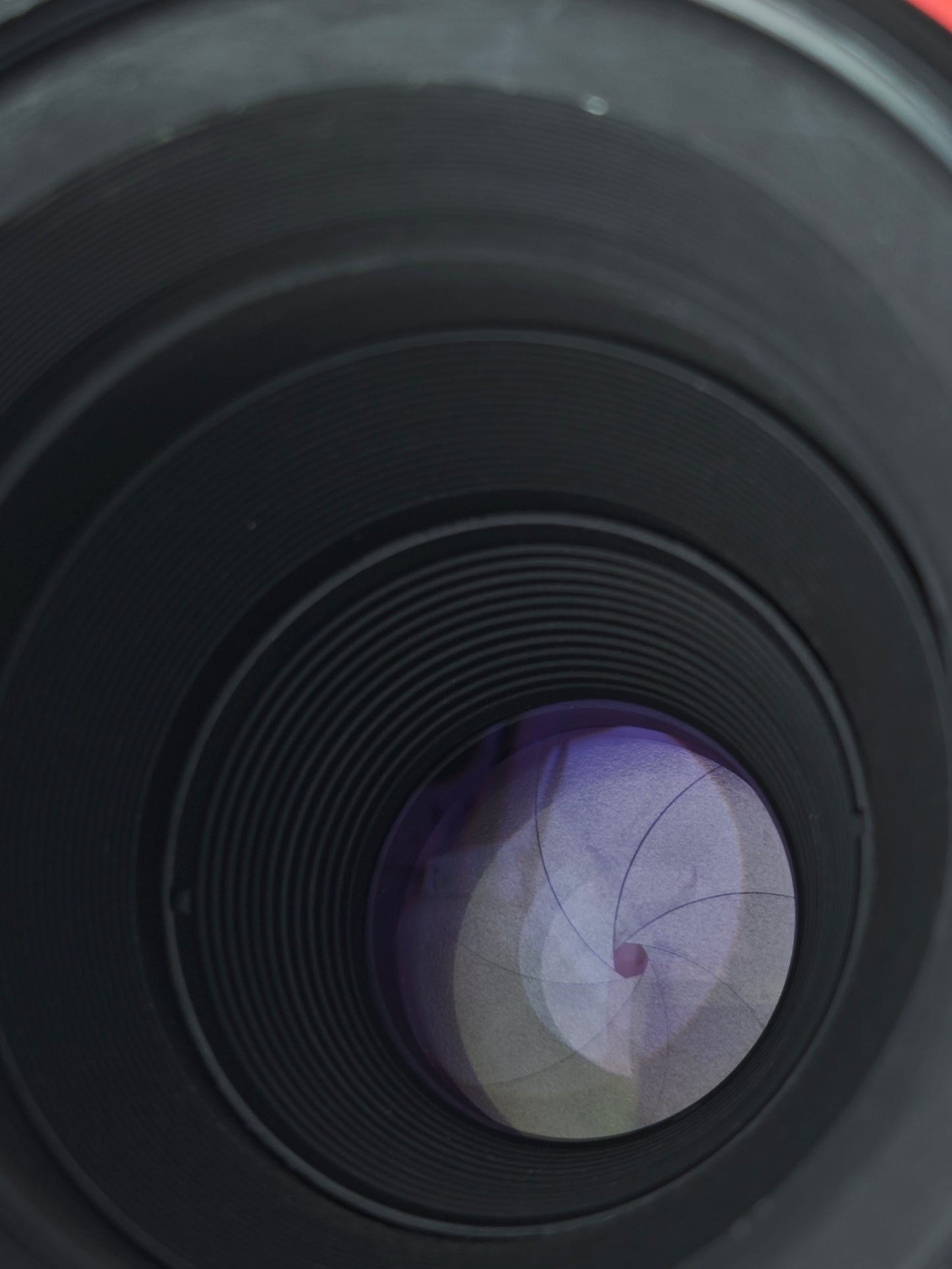 *READ* Nikon AF Micro Nikkor 60mm F2.8