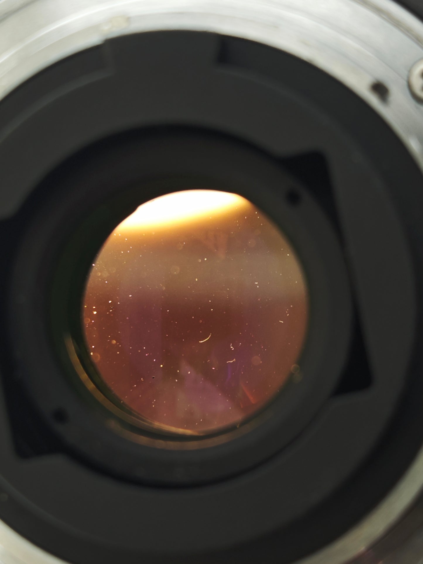 Nikon FE2 silver with Micro- Nikkor 55mm F2.8