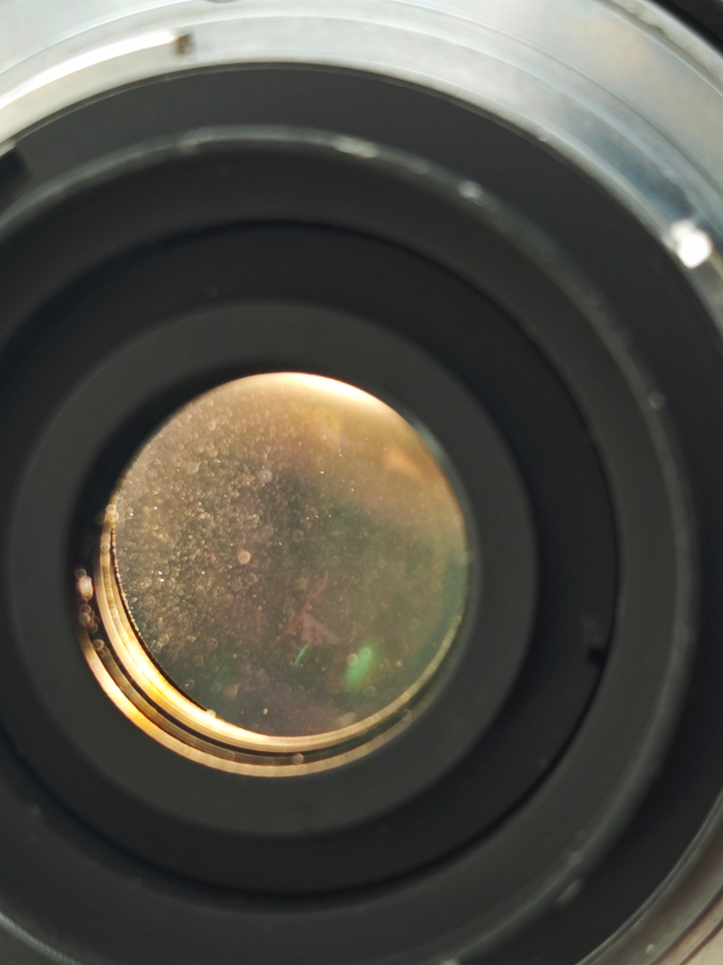 *READ* Nikon F3 with Nikkor 35mm F2.8 Ai