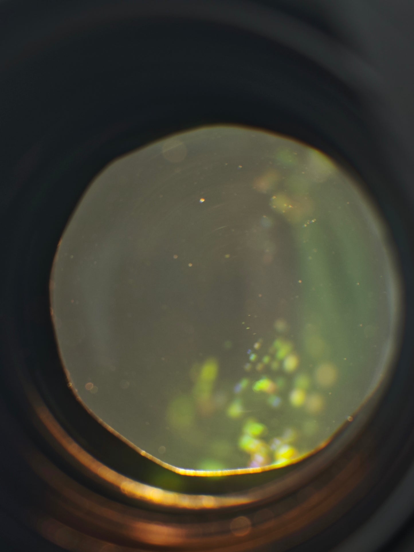 Nikon AF-S Nikkor 24-70mm F2.8 E ED VR N [with box] #2181056