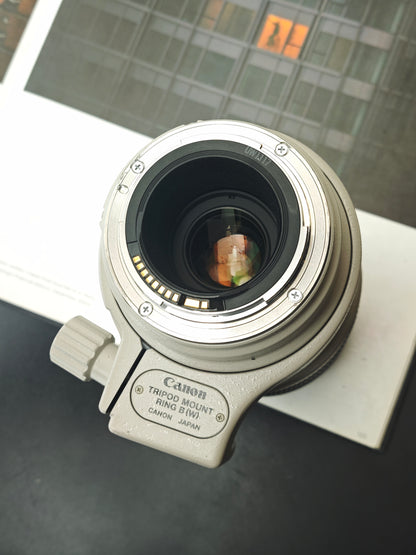 Canon Zoom Lens EF 100-400mm F4.5-5.6 L IS #429918