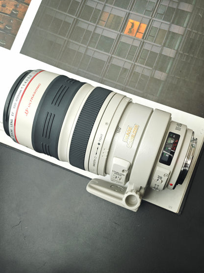 Canon Zoom Lens EF 100-400mm F4.5-5.6 L IS #429918