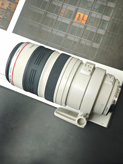 Canon Zoom Lens EF 100-400mm F4.5-5.6 L IS #429918