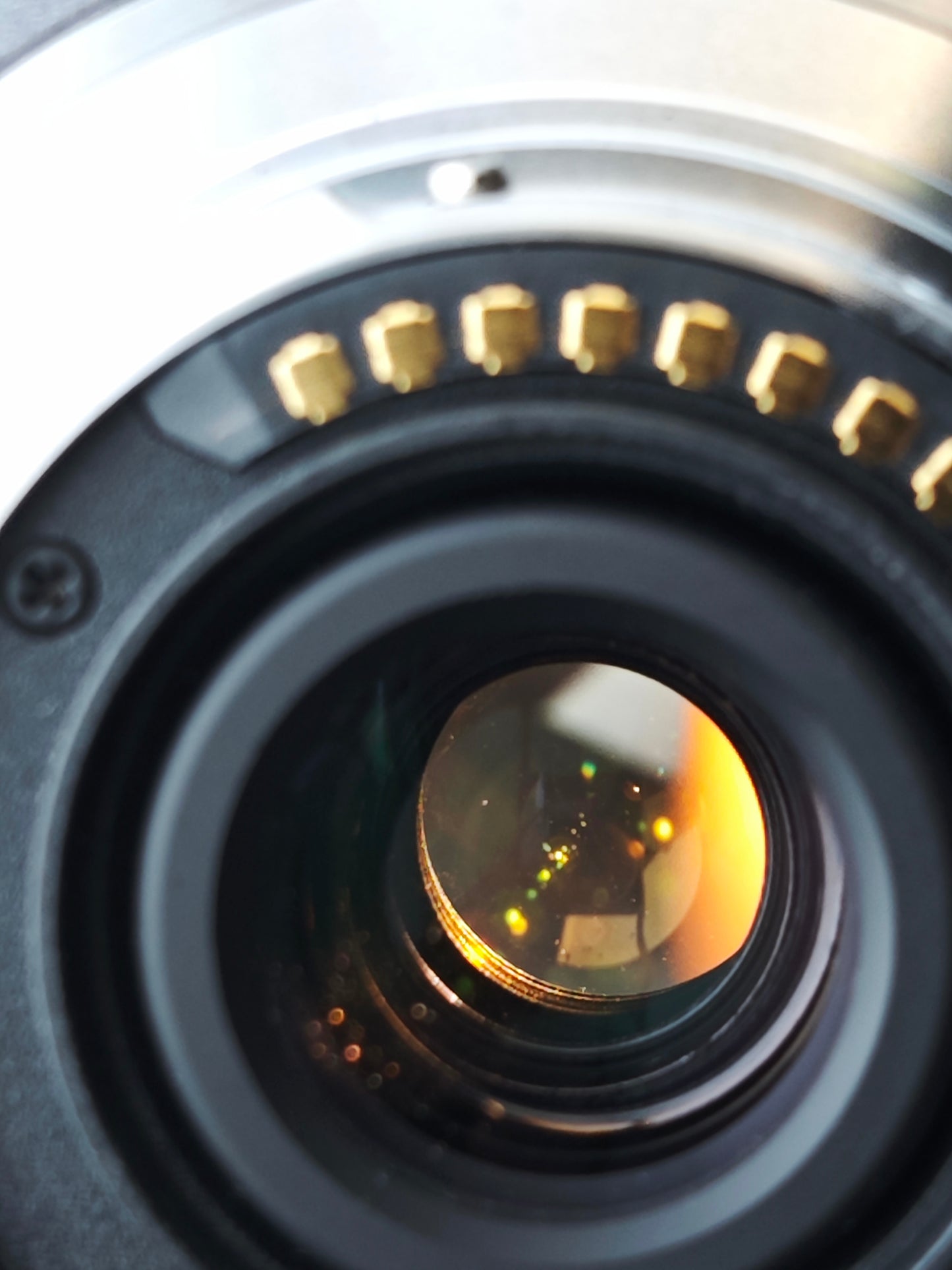 Panasonic Lumix G Vario 14-140mm F4-5.8 ASPH Mega O.I.S. [M4/3 mount]