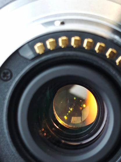 Panasonic Lumix G Vario 14-140mm F4-5.8 ASPH Mega O.I.S. [M4/3 mount]