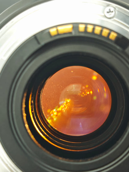 Canon Zoom Lens EF 28-70mm F2.8 L Ultrasonic #125539