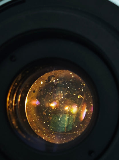 Olympus OM-1 with OM-System Zuiko MC Auto-Macro 50mm F3.5