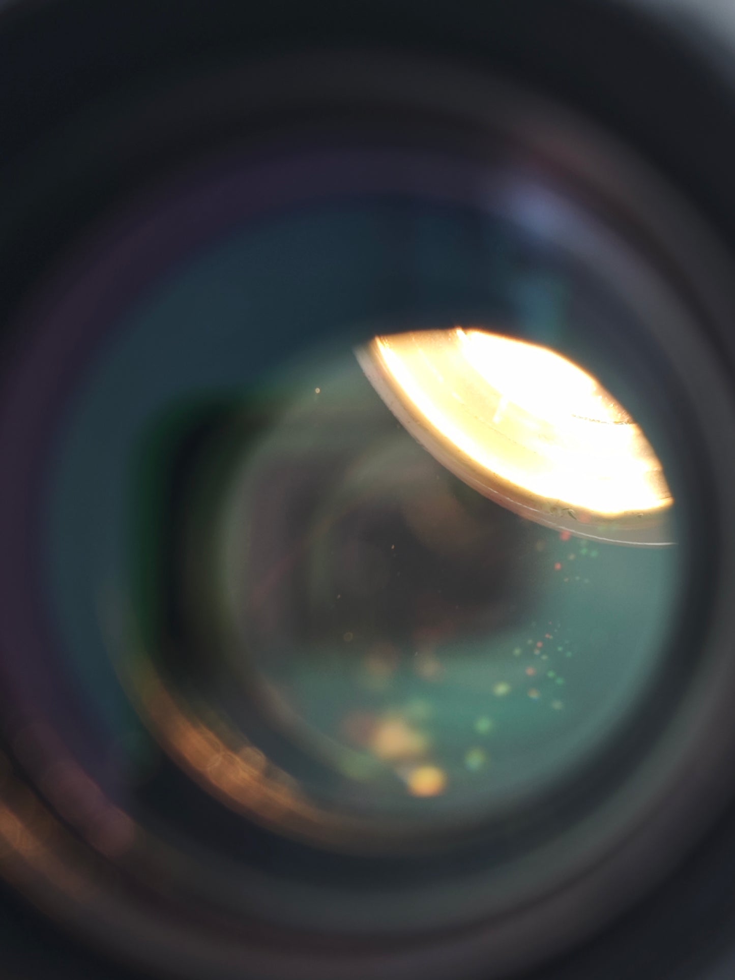 Canon Macro Lens EF 100mm F2.8 L IS USM