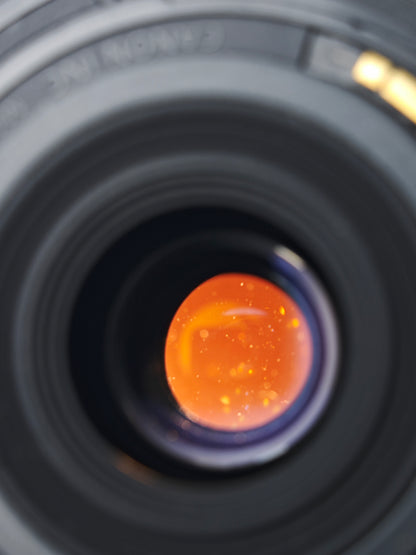 Canon Zoom Lens EF-S 18-55mm F3.5-5.6 IS