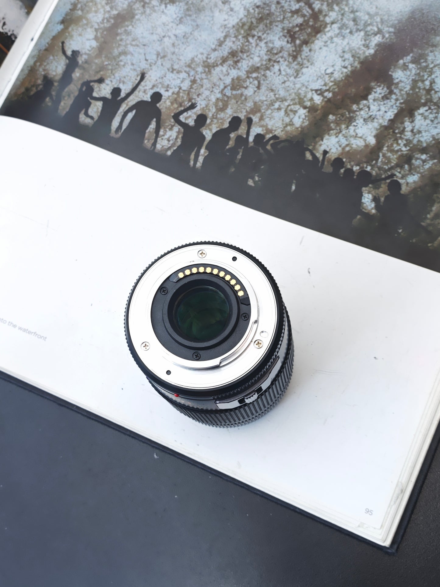 Panasonic Lumix G Vario 45-175mm F4-5.6 [M4/3 mount]