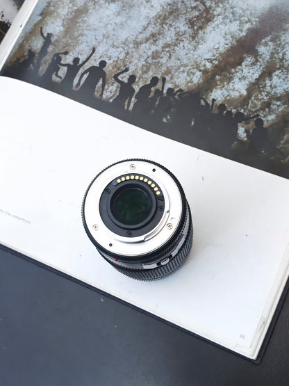Panasonic Lumix G Vario 45-175mm F4-5.6 [M4/3 mount]
