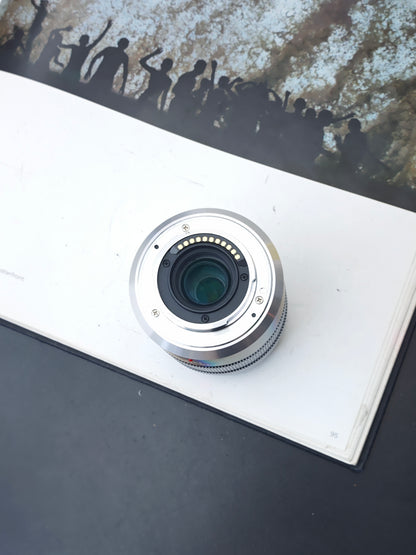 Panasonic Lumix G Vario 45-150mm F4-5.6 [M4/3 mount]