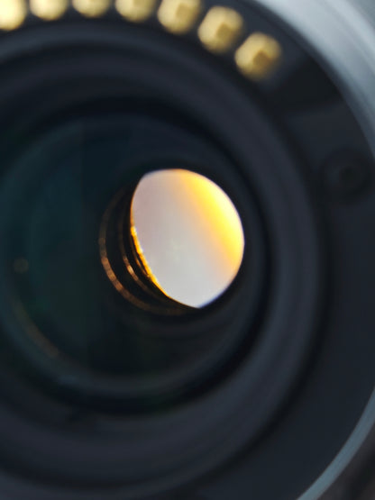 Panasonic Lumix G Vario 45-150mm F4-5.6 [M4/3 mount]